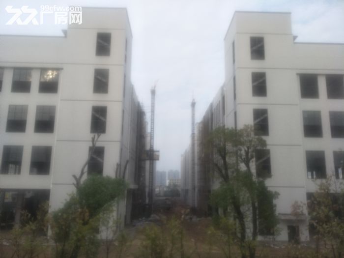 4栋四层新建标准厂房，框架结构，距离高速入口1公里-图2