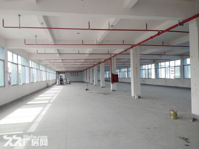 江西赣州厂房出租：水东工业园5000平厂房仓库店面出租可分租配套齐全-图4