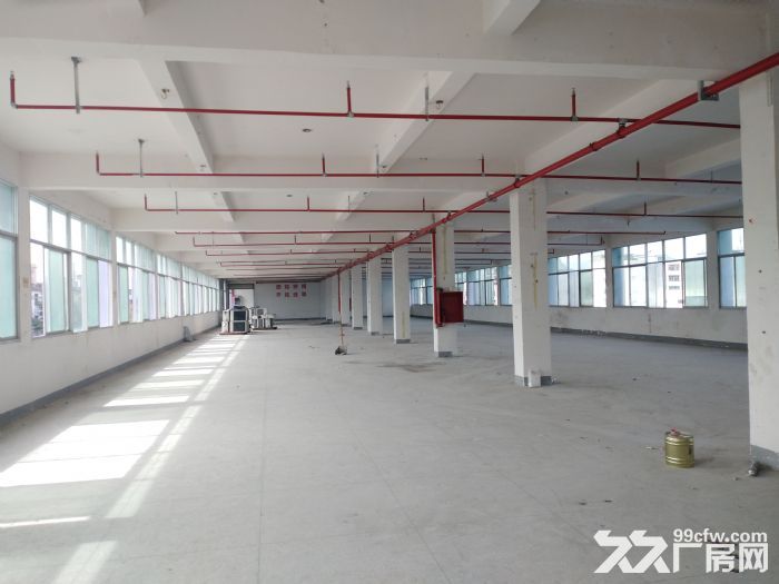江西赣州厂房仓库出租配套齐全4000m²可分租能进大车货梯2毛一天-图4