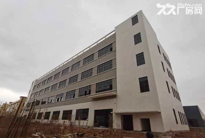 境坝工业园标准厂房出租-图2