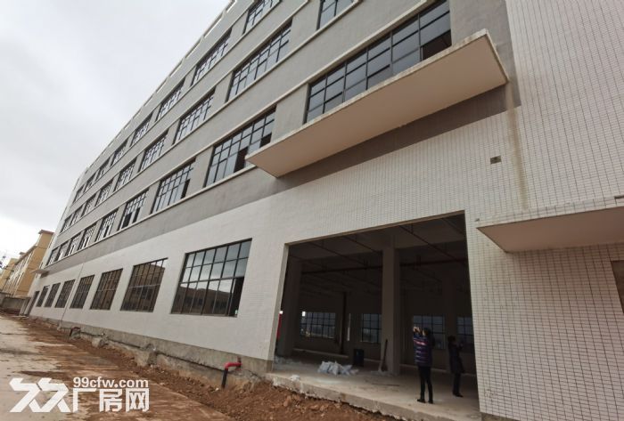 境坝工业园标准厂房出租-图4