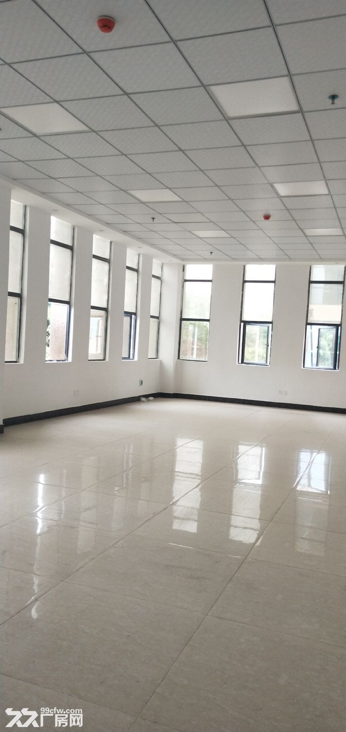 出租办公楼、厂房、公寓-图5